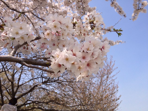 2013-04-05 12.59.45 HDR