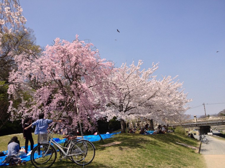 2013-04-05 13.00.25 HDR