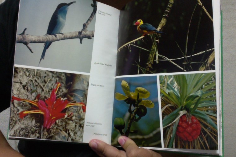 Photo on 11-2-14 at 9.29 AM