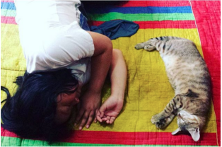 Screenshot 2016-03-05 10.38.43