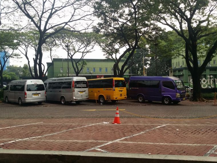 13699519_10154455559264015_1149221592_o