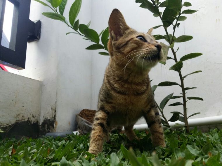 whatsapp-image-2016-11-07-at-11-14-17-am